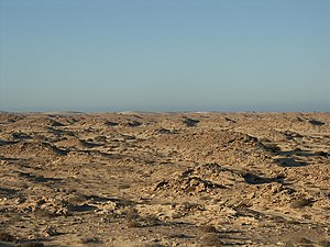 Río De Oro