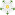 White Rose Badge of York.svg