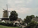 Molino (molen Rijn en Lek) en la calle