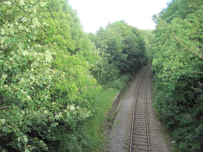 File:Wolfs Castle Halt railway station (site), Pembrokeshire (geograph 5422540).jpg