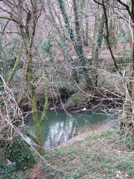 File:Woolleigh Brook - geograph.org.uk - 655129.jpg