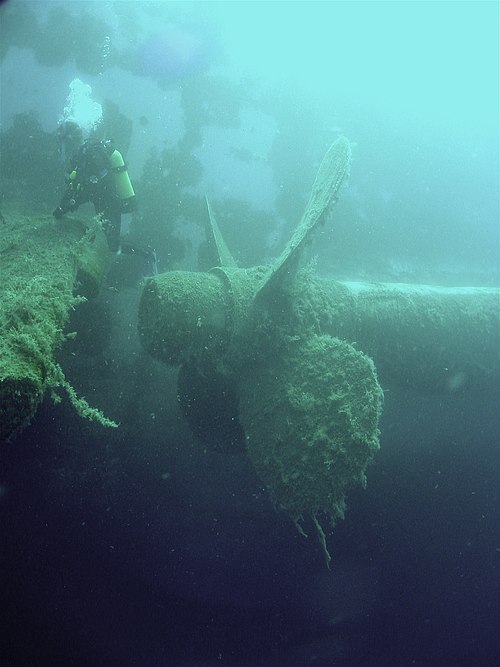 Wreck of the Zenobia.