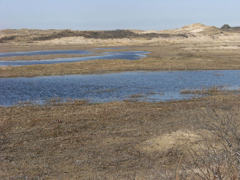 File:Zuid-Kennemerland 20110327 42.JPG