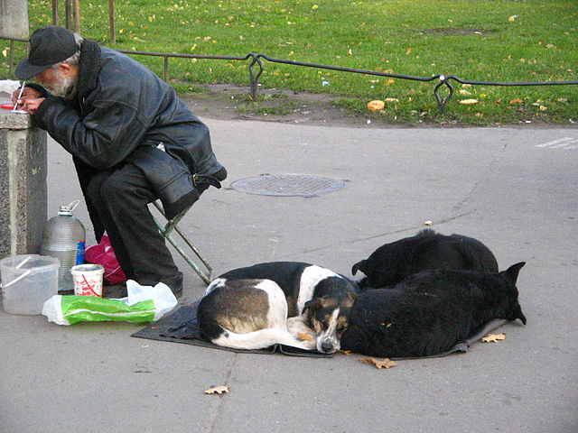 Бомжиха сосет член (83 фото)