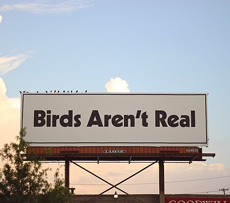 Birds_Aren't_Real