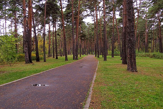 В аллее рощи. Калитовой роще. Ближнюю рощу. Аллея в роще в Моздоке. Новая сцена в роще в Мошенском.