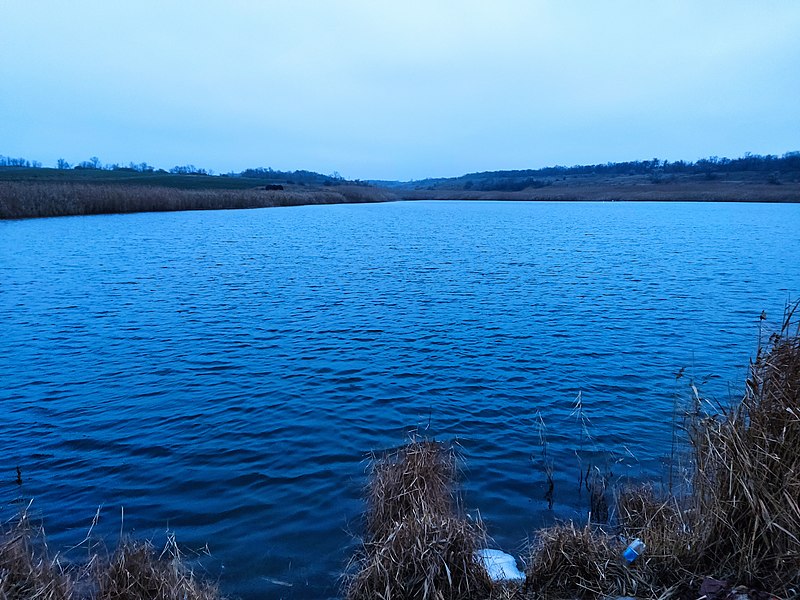 File:Волкодаево, 2021, 50.jpg