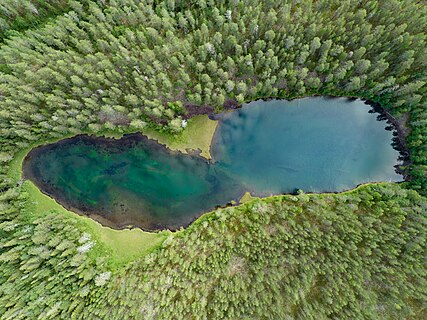 Valkealampi lake photographed from above with lakebottom observable. Pitkyarantsky district, Karelia, Russia.