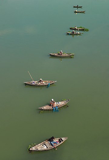 Barcos de pesca no rio Jamuna, Parque ecológico da margem ocidental da ponte Jamuna, Bangladesh. O rio Jamuna é um dos três principais rios de Bangladesh. É o curso inferior do rio Bramaputra, que se origina no Tibete, antes de fluir para a Índia e depois para o sudoeste em Bangladesh. O Bramaputra-Jamuna é um exemplo clássico de um rio entrelaçado. É caracterizado por uma rede de canais com numerosos bancos de areia entre eles que não ocupam uma posição permanente. O rio os deposita em um ano, muitas vezes para serem destruídos mais tarde, e os redeposita na próxima estação chuvosa. (definição 4 000 × 4 000)