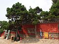 汉柏第一 - Eldest Cypress of the Han Dynasty - 2012.06 - panoramio.jpg