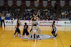 Wjbl 2009-10