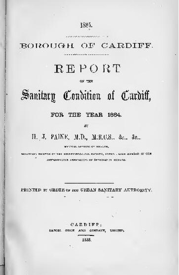 File:1884 report of the Medical Officer for Cardiff (IA cardiffmedofficer 1884).pdf