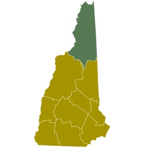 1984 New Hampshire Democratic presidential primary election results map by county.svg