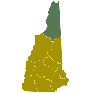 <span class="mw-page-title-main">1984 New Hampshire Democratic presidential primary</span>