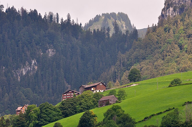 File:2011-08-04 09-53-24 Switzerland Unterwasser.jpg