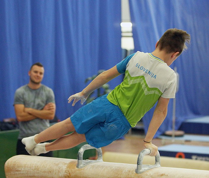 File:2019-05-24 Budapest Cup training pommel horse (Martin Rulsch) 304.jpg