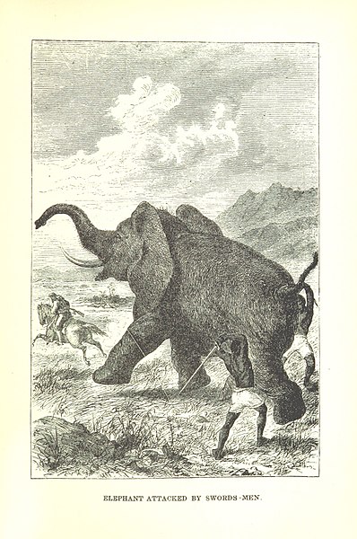 File:353 of 'Africa- the history of exploration and adventure, as given in the leading authorities from Herodotus to Livingstone. ... With ... illustrations' (11109199265).jpg