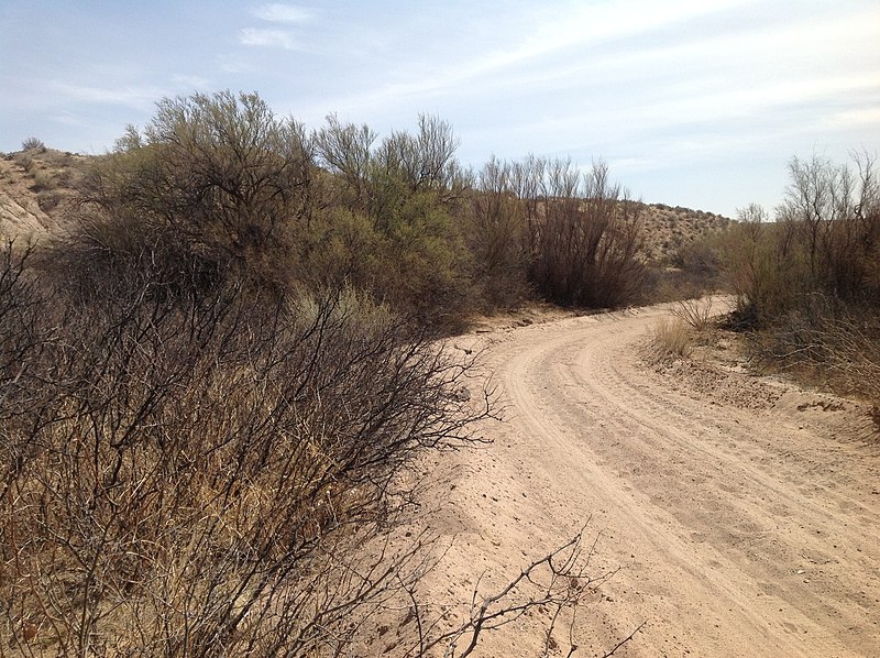 File:A dry dusty road at at Bosque del Apache National Wildlife Refuge at Point of Lands near Socorro, NM (d8ba7985-68b5-49a4-841f-6f664c849eaf).JPG