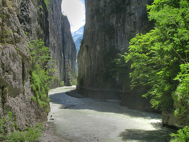 Inside the Aare Gorge