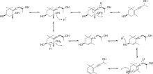 Scheme 3: Acetylenic diol mechanism Acetylenic Diol Mechanism.svg