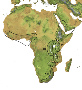 <span class="mw-page-title-main">Afromontane</span> Subregion of the Afrotropical realm