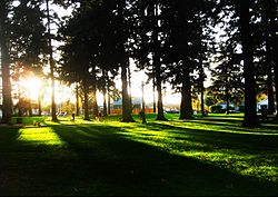 Alberta Park (Portland, Oregon).jpg