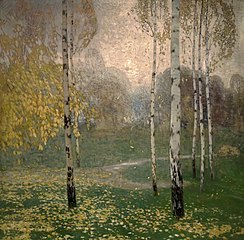 Birch Trees