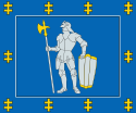 Contea di Alytus – Bandiera