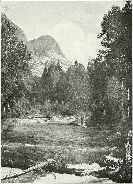 Photo of the Kern River near Funston Meadows in Sequoia National Park by Mark Daniels, 1916.
