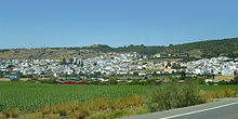 Andalucía Bornos tango7174.jpg