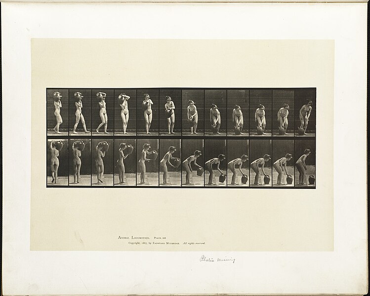 File:Animal locomotion. Plate 235 - DPLA - d68a8ae8b44e4013ff2e0c2dcc5f0df1.jpg