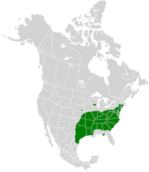 File:Anthocharis midea range map.JPG