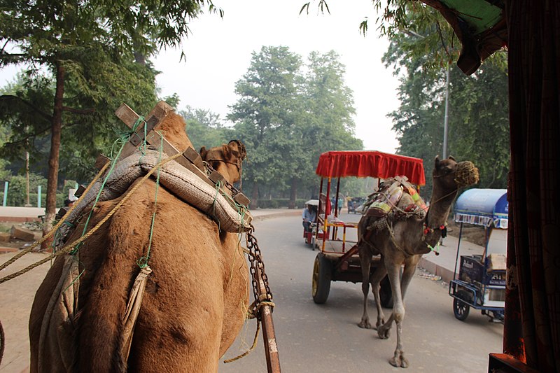 File:Approach to Taj Mahal (23188050926).jpg