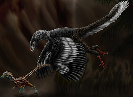 Tập tin:Archaeopteryx lithographica by durbed.jpg