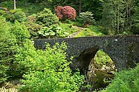 Loch Fyne.jpg-da Cairndow yaqinidagi Ardkinglas bog'lari