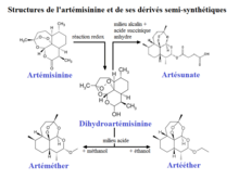 Structures de l'artémisinine et de ses dérivés semi-synthétiques