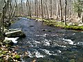 Aspetuck River - Spring stream with rapids along southern Aspetuck Valley Trail after it leaves Poverty Hollow Road road walk (near end of trail). Blue-Blazed CFPA foot path in Connecticut Centennial Watershed State Forest which connects to Huntington State Park at the northern terminus and which follows the Aspetuck River from Newtown, CT through Redding and Easton, CT.