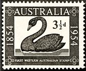 1954 Australian stamp commemorating the first Western Australian stamp which featured the black swan Australianstamp 1623.jpg