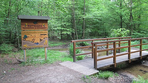 BOT-Rotbachtal-Kirchheller Heide und Hiesfelder Wald