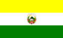 Flag of Camoapa, Boaco Department, Nicaragua