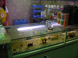 A counter combined with an aquarium at a take-out shop in Thailand Bar counter with aquarium.JPG