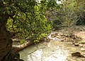 Vallon des Carmes à Barjols