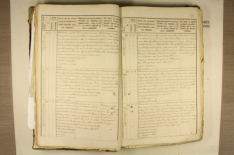 File:Batakių dekanato bažnyčių 1886 m. krikšto metrikų nuorašai 041.jpg
