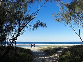 Beach in Kingscliff Queensland.jpg