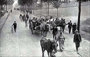 Première Guerre Mondiale: Déclenchement, Entrée en guerre, Opérations militaires