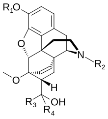 General structure of a Bentley compound with an etheno-bridge (double bond) Bentley compounds double bond.svg