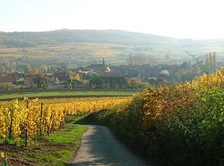 Bergbieten Commune in Grand Est, France