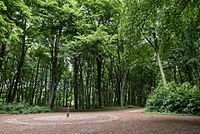 Berlin LSG-03 Zehlendorf Community Grove 06.jpg