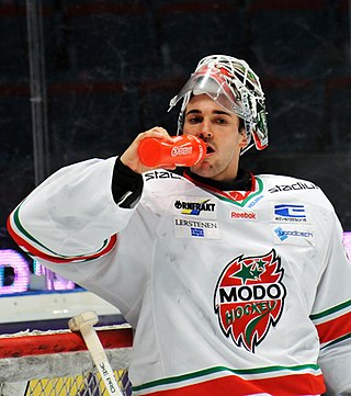 <span class="mw-page-title-main">Bernhard Starkbaum</span> Austrian ice hockey player