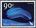 Ross Dependency 2003 issue Beroe cucumis stamp.jpg